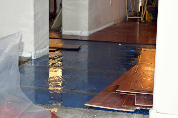 Professional Basement Flood Cleanup technician working in Guilderland Center, NY